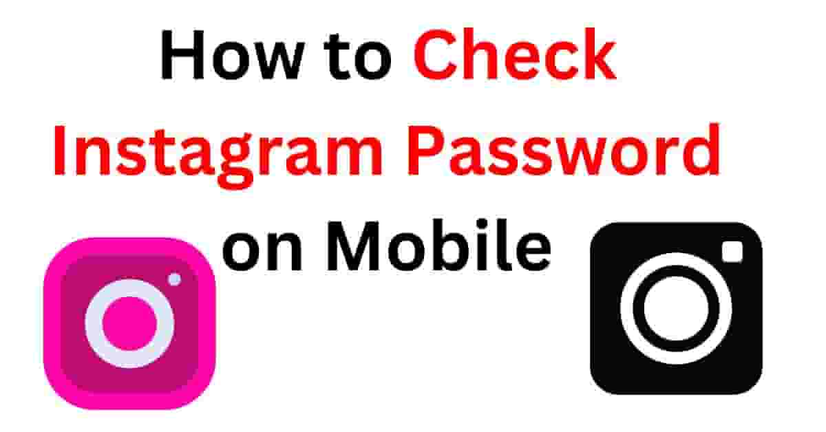 PDFrani Check Instagram Password on Mobile